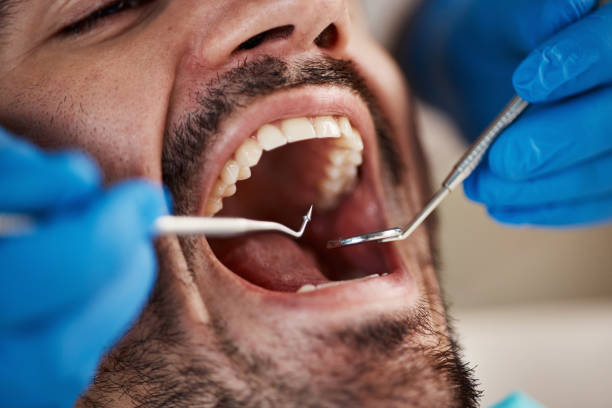 Best Holiday Emergency Dentist in Magnolia, NC